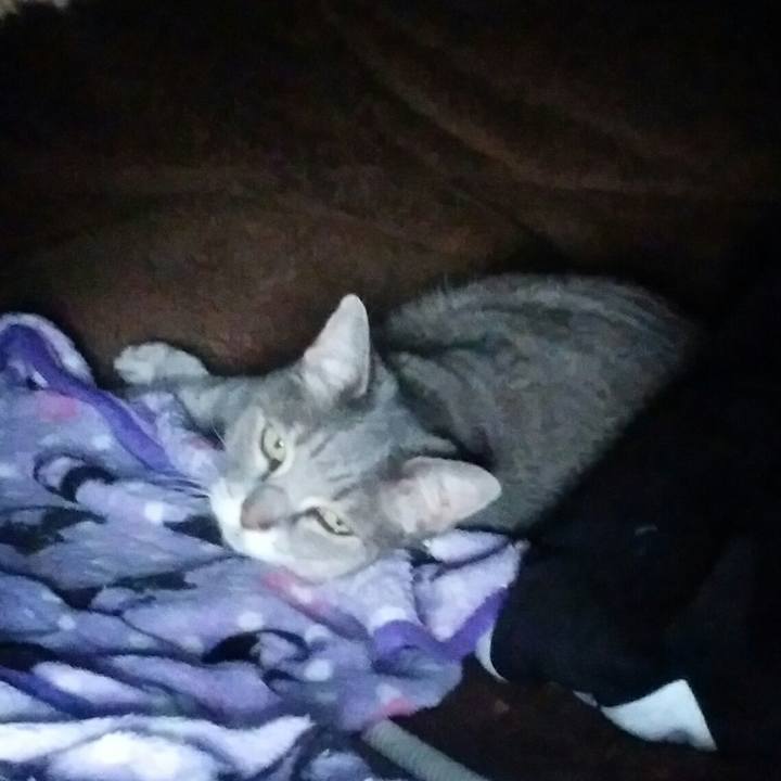 Be76da00 e4a8 4a8e af54 386cc4b5c74a 1574476944798