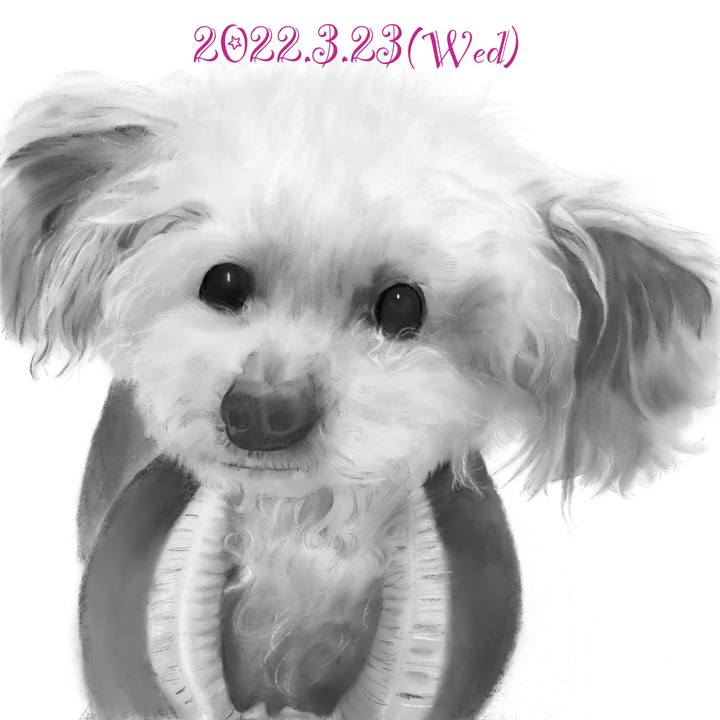 Be76f134 954f 406e a41d ddfe29c72eb9 1648035013120