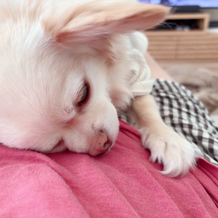 Be77041b 8e9a 42f0 9155 ce2287eb1951 1718083948497