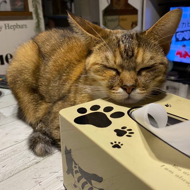 Be774915 7f57 4641 ad0f b1330f57d6f0 1608150556603