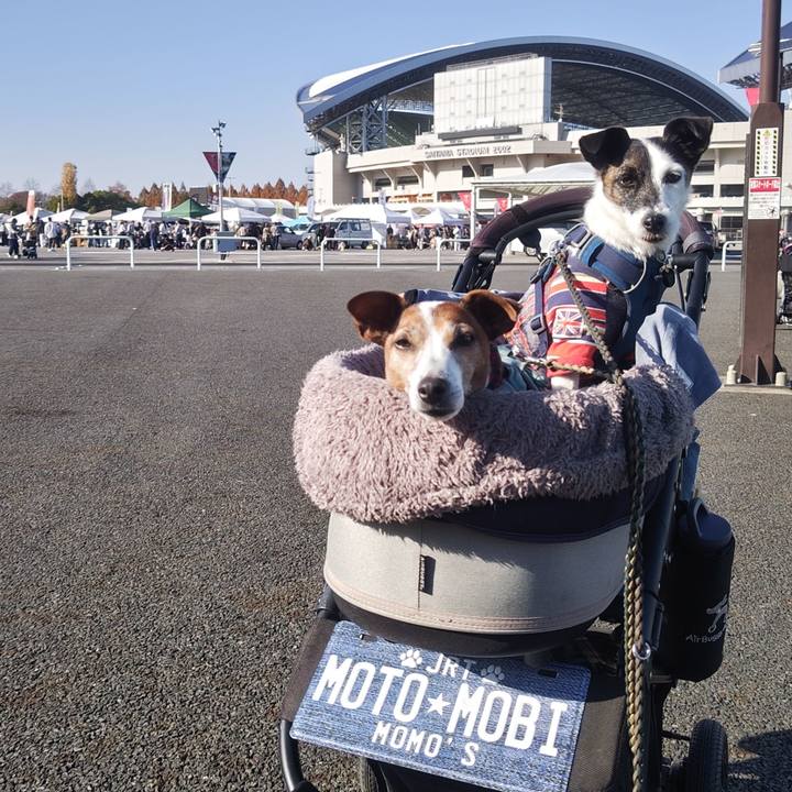 Be776c35 5e63 4004 8dc6 9023020cbc8d 1764502053690