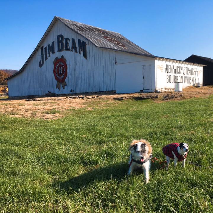 Be777575 968f 420e b23f e0b9803dfaf6 1542837915365