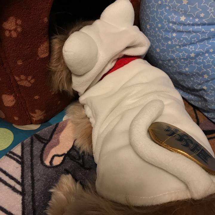 Be777e3b 0aee 4cdd 8967 33cd6a4819cc 1514880851670