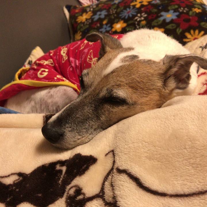 Be7794ae d016 492f 9192 e6f1ca50f6c7 1508844984218