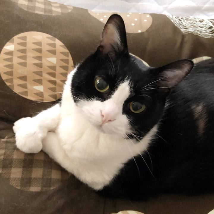 Be77ac8b 325b 4217 8408 e8009572f797 1528328193304