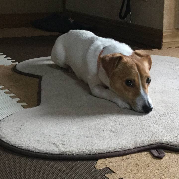 Be77f318 80ec 4b85 a7c2 e2b4179608cd 1526026848857