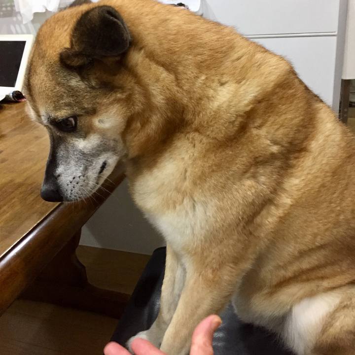 Be783200 d92d 4226 ae09 6939388355a4 1585301726256