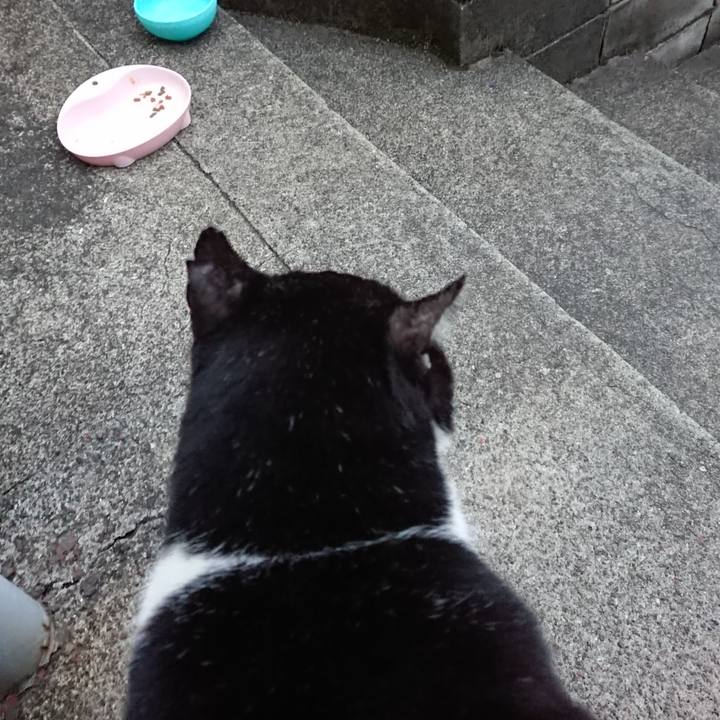 Be788049 ea0b 4355 b979 6a5c4264cab2 1678876550896