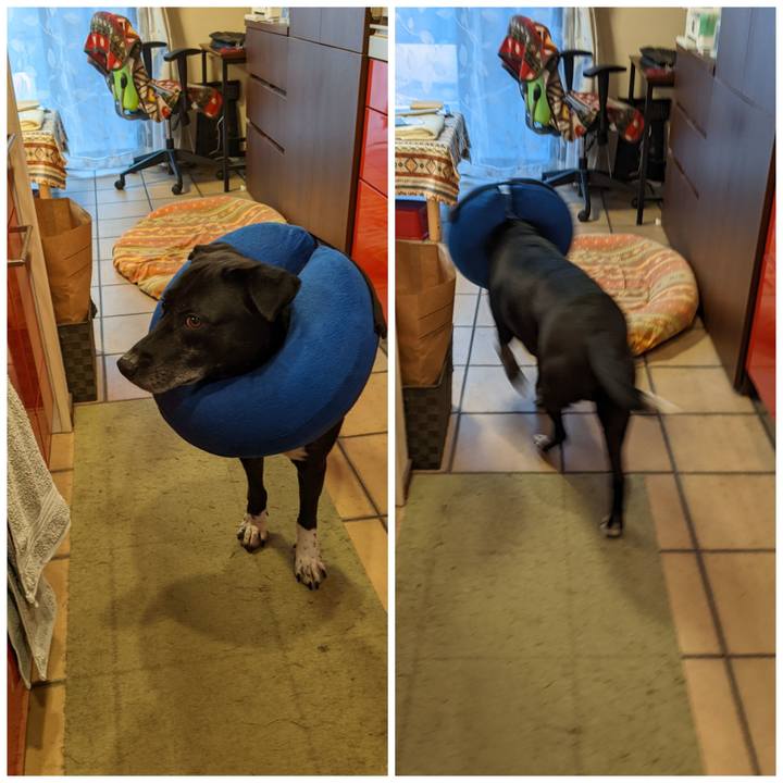 Be78b724 1eab 47cf 8cb3 250a36573e7b 1700179824794