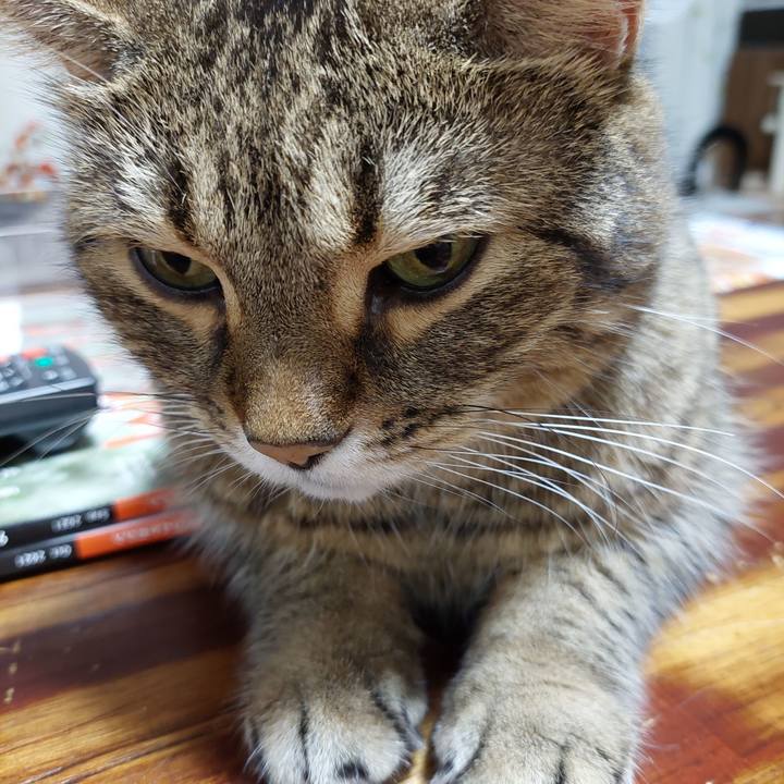 Be78bee0 2629 4817 a475 44cec9e951b6 1632828544900