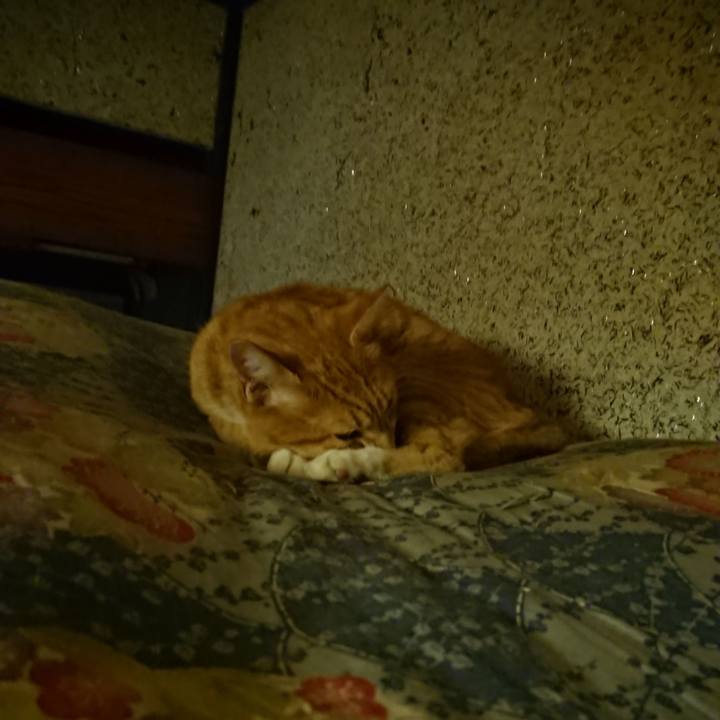 Be790aab a09b 44ba ac30 d663bfcaa1eb 1600606935884