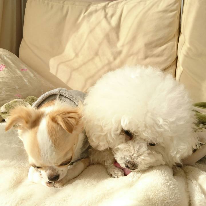 Be7958a0 87ee 43eb abd4 ab9b467371bb 1516841894432