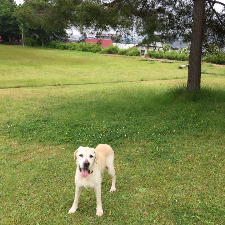 Be7964e1 f836 4e8c 8406 8a11ceaf5011 1527657844697