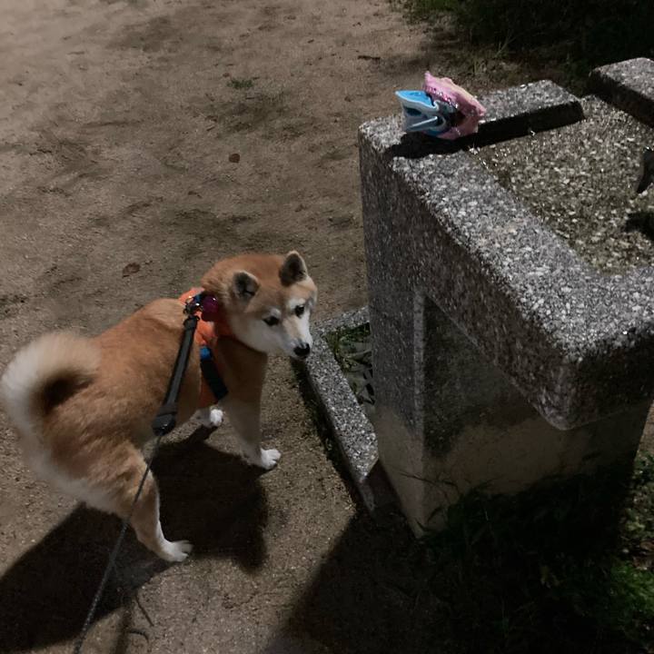 Be798e6c 6530 473b aa55 aa0d9951bde4 1626991247214