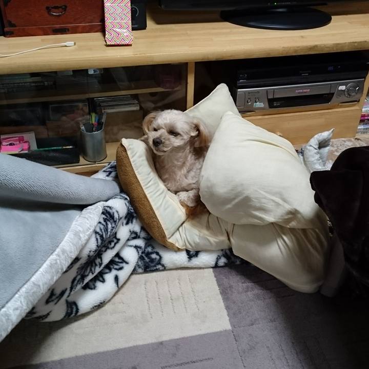 Be799945 bc01 4688 81f1 db3012d08750 1608553976653