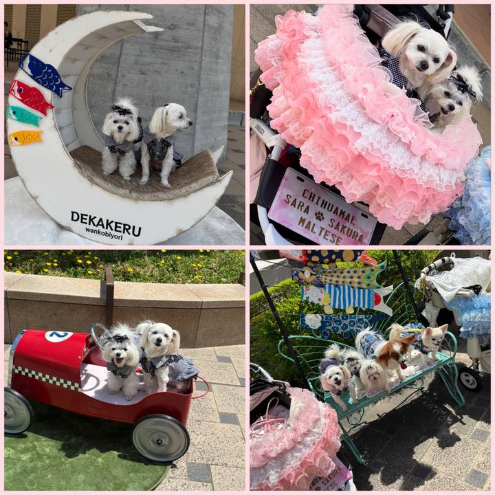 Be79b22c 7dc8 4484 97ef a6ace9c652a7 1746447375060