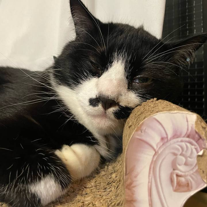 Be7a31cb 68ad 4ee1 9bf5 5de78f5b81f0 1720707533831