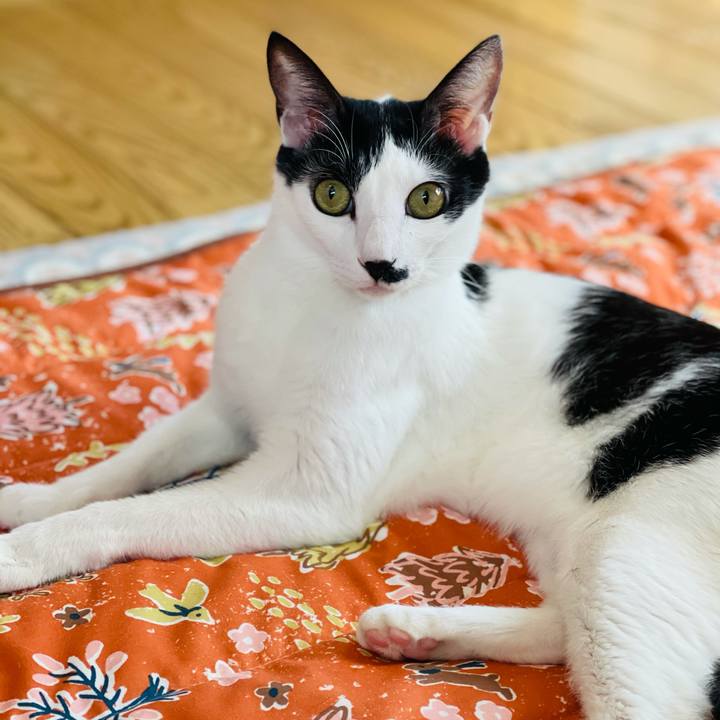 Be7a3acb 3fef 4190 82c0 6e7442c0639b 1613614717535