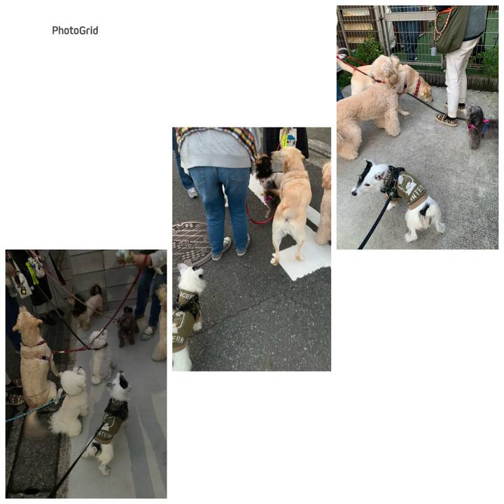 Be7a3e47 3151 48cb a148 da91586cd35d 1732263508963