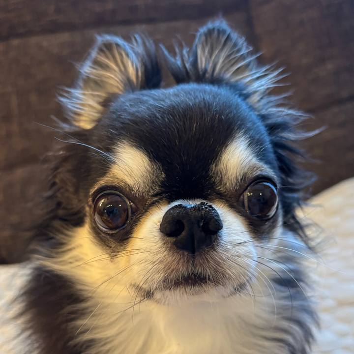 Be7a43d9 f78f 418f 9a56 d6be078c16c8 1745708084646