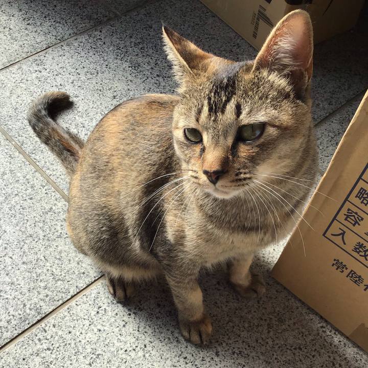 Be7a6905 fef5 4c64 ad93 12d0e49b55c0 1580265086862