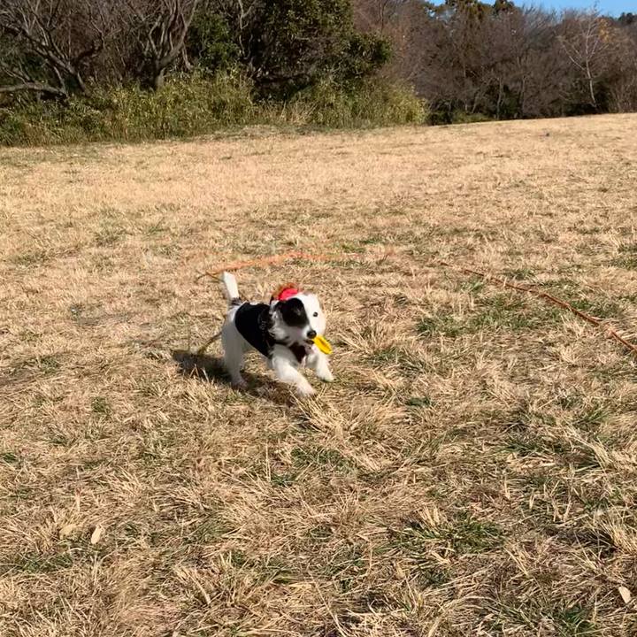 Be7a7fae a7fc 4fe3 9a31 14bc540b9659 1704416708802