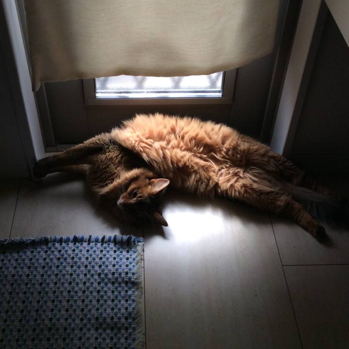 Be7aa70a 4d85 4d5c b35d b5c902716b17 1595310855315