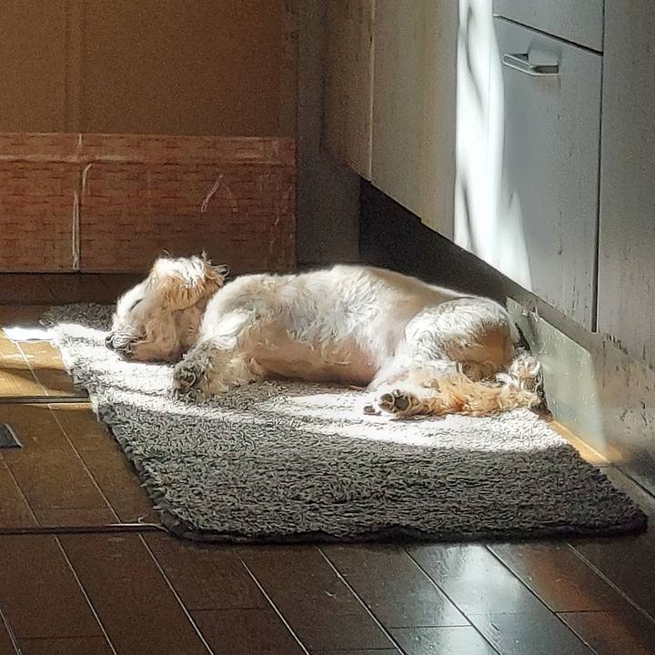 Be7ab76e 0dc1 4746 8d4a d15ed2a5ff04 1677819737136