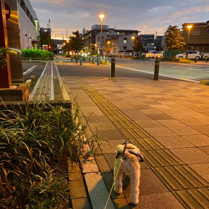 Be7ac9c0 d86c 4a54 ac35 9b0d1ee47f40 1569234902974