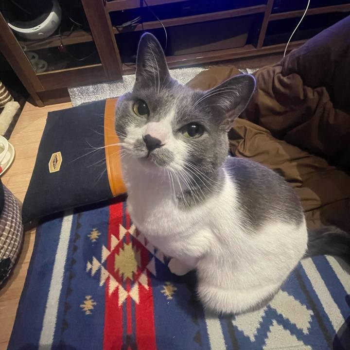 Be7ad7a0 508b 419e b504 a2e3f47df96c 1677422200420