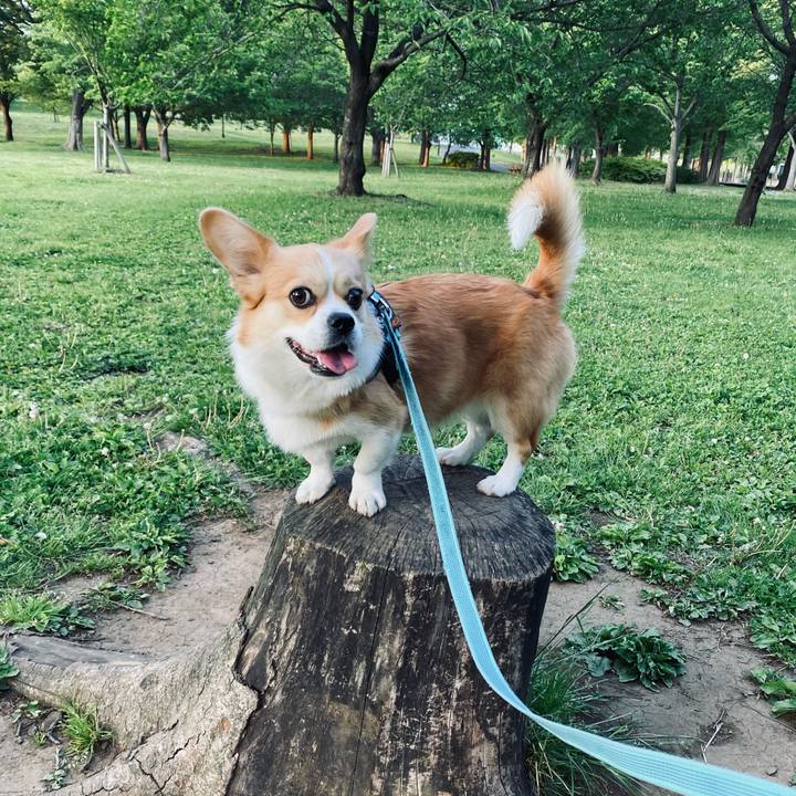 Be7af2b7 49a3 4596 bbbe d499e145f17d 1619516282773