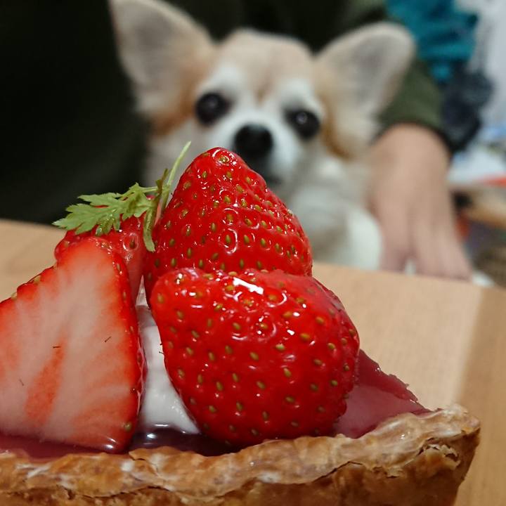 Be7b101d 94a2 4460 917b c08c4d4d555d 1545622392242