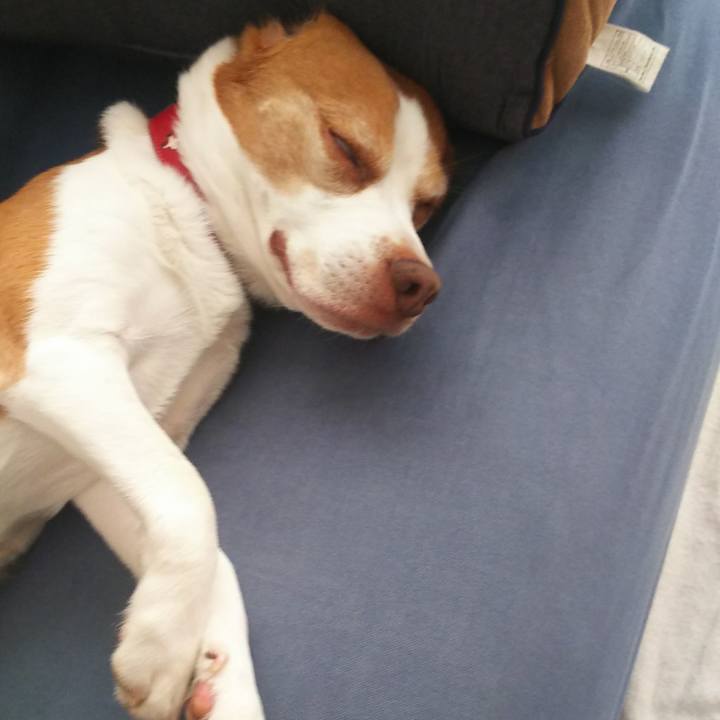 Be7b1d71 31e8 4c69 b422 e2431dd14e7a 1656297305301