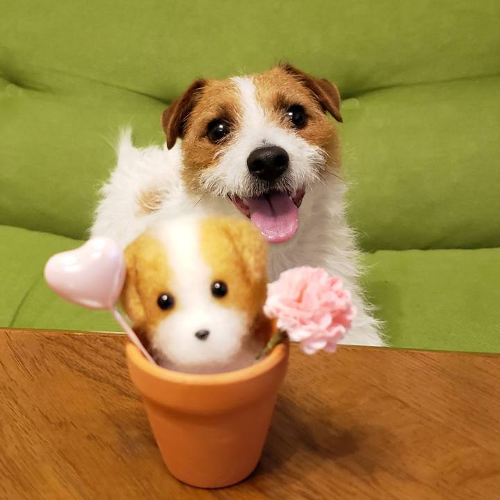 Be7b2f29 9752 4876 97b7 9f72a8290777 1553867076053