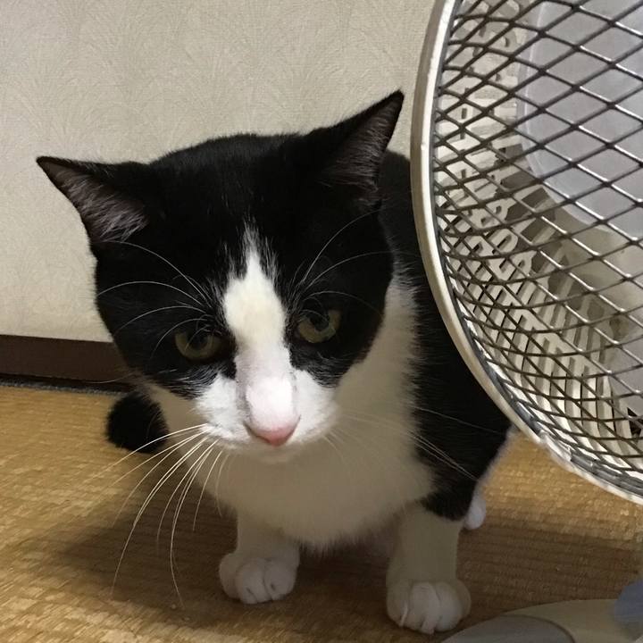 Be7b58fd cbba 4183 b6d2 03f66f67b13e 1691411391057