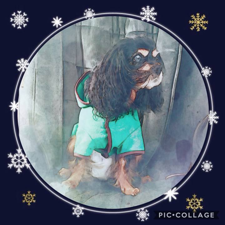 Be7b70ff 52a1 42dc 95a2 c4248bec2ce8 1577787229746