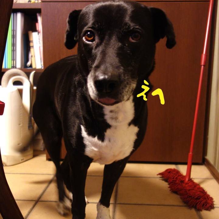 Be7b7d37 490a 46d3 bc2b c5a0249d9db9 1708648974624