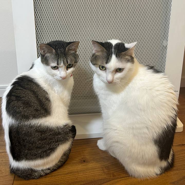 Be7ba332 e382 4066 94d7 6cc4d41eb988 1764398425025