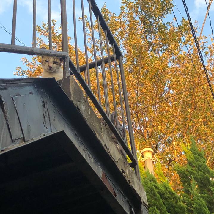 Be7bad13 5046 4b84 8e20 41844545c97a 1570456511628