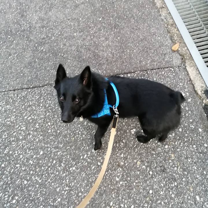 Be7be502 b2a2 4b3d b8eb 8c5ec1ca239a 1604960284305