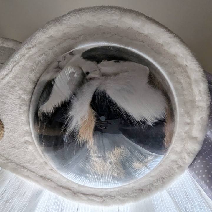 Be7bedfd dbb0 486a 8159 166c8745ea5d 1719114497961