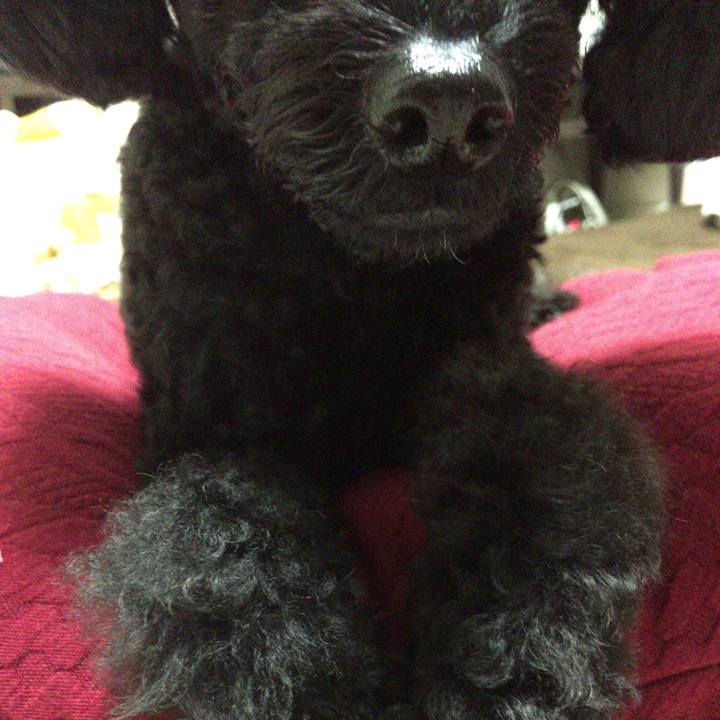 Be7bfc6e 24d2 4f78 8e98 e7ceb52de94e 1510389335477