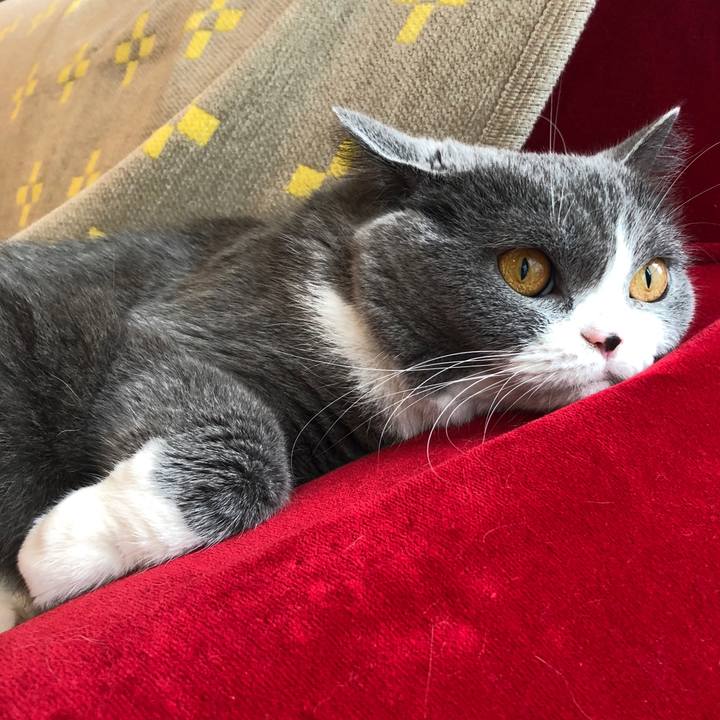 Be7c0966 7fda 4c26 b71e 68eb8502b03c 1538198013753