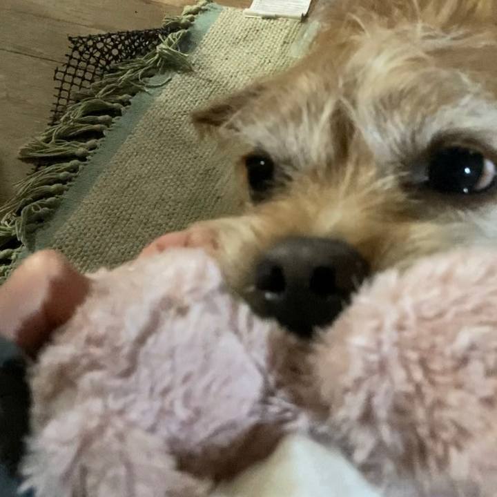 Be7c2d0a 27fd 418b 8a34 f7ac8362cb16 1669091391002