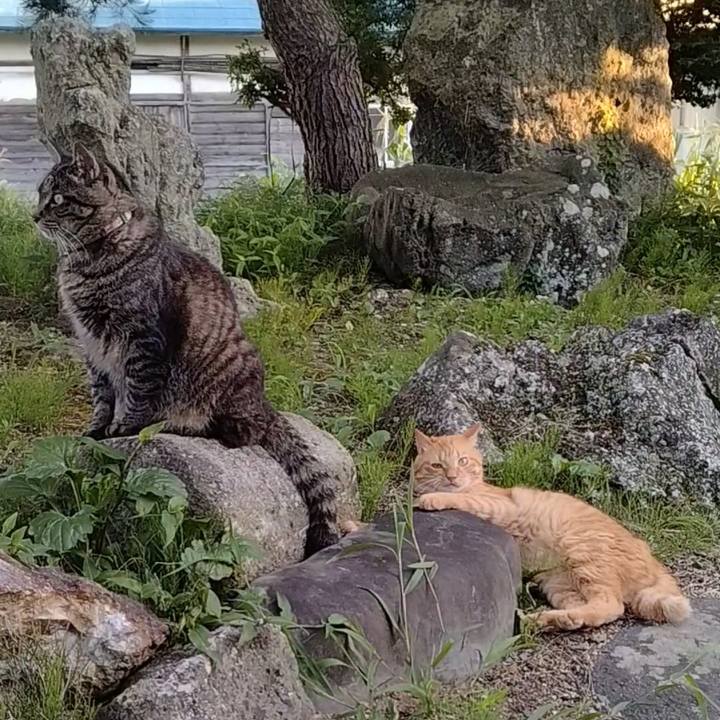 Be7c3011 0bc4 4940 9ef0 7e43ce8c1775 1722507418009