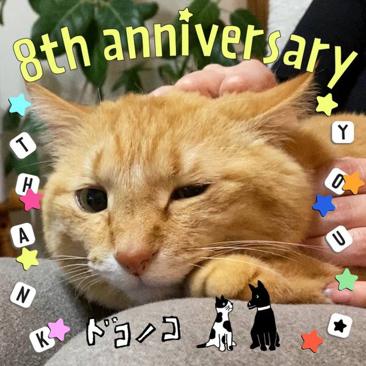 Be7c3604 0af4 44fc b353 aba2df334f28 1717803743770