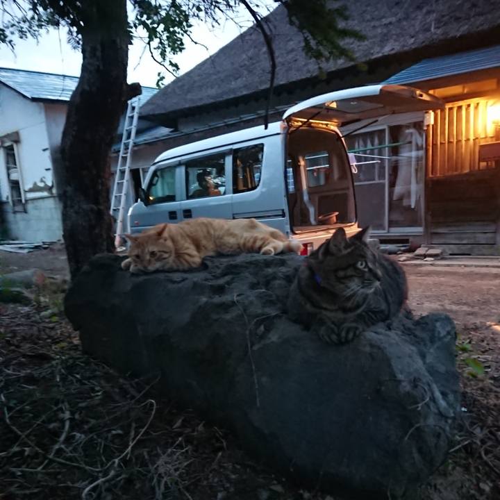 Be7c459a 46d7 4145 b0de 4b2f17b9449d 1660039698033