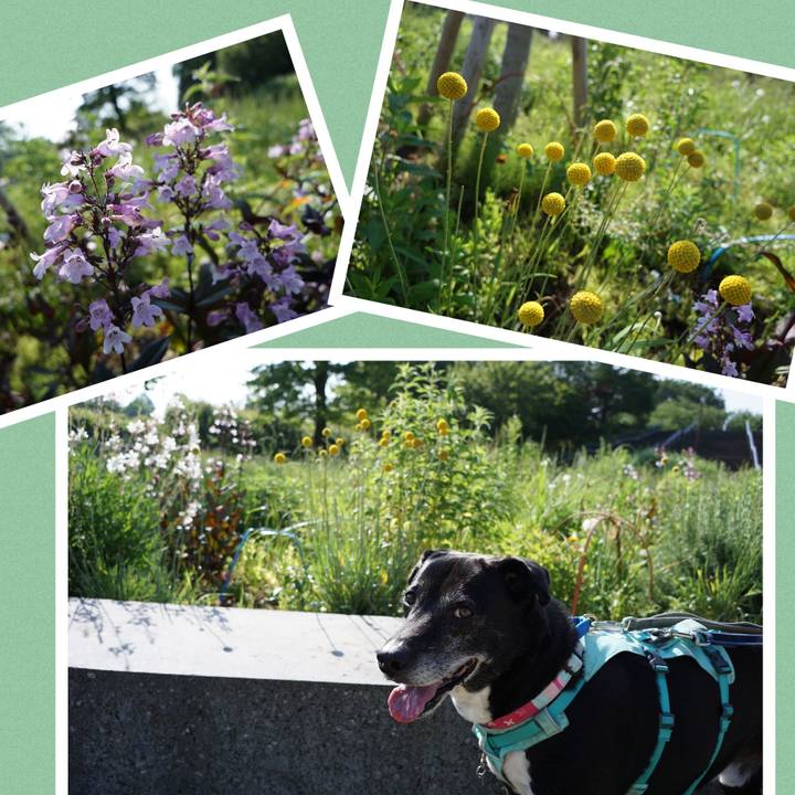 Be7c579e 06a4 4167 9e90 b97673c90afa 1779669717186