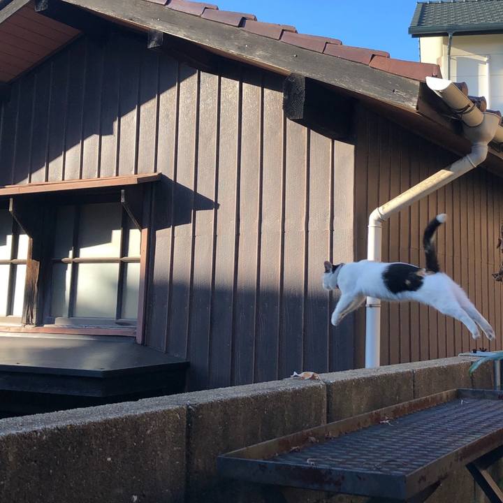 Be7c8f93 674b 4ab3 8823 68e7b4a66e5b 1697453876660