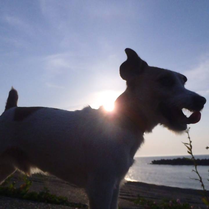 Be7cebe8 b204 4572 ba80 20877667e19a 1528106763535